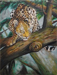 leopard_takes_overview.jpg